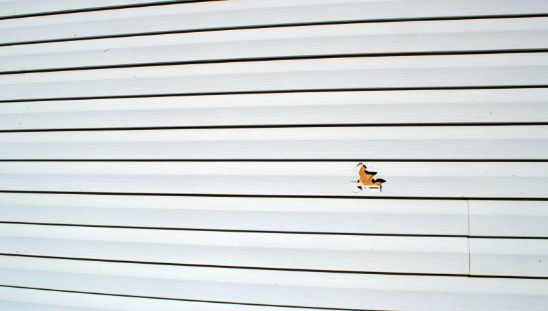 Matching Vinyl Siding